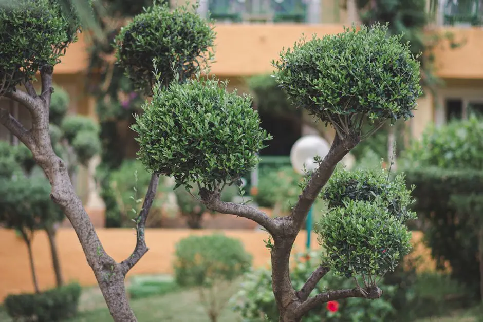 Greens & Outdoors at BIRLA PRAVAAH, Sector 71, Gurgaon