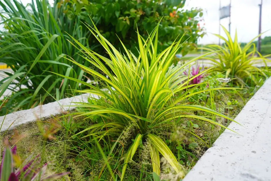 Greens & Outdoors at BIRLA ANAYU, Walkeshwar, Malabar Hill, Mumbai