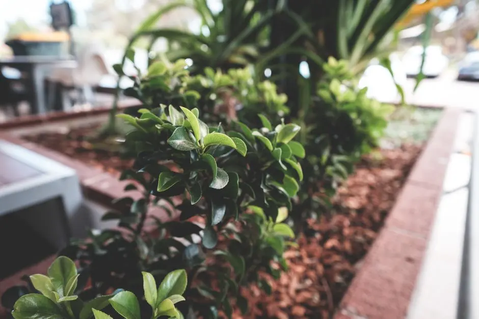 Greens & Outdoors at BIRLA TRIMAYA PHASE 4, Devanahalli, Bangalore