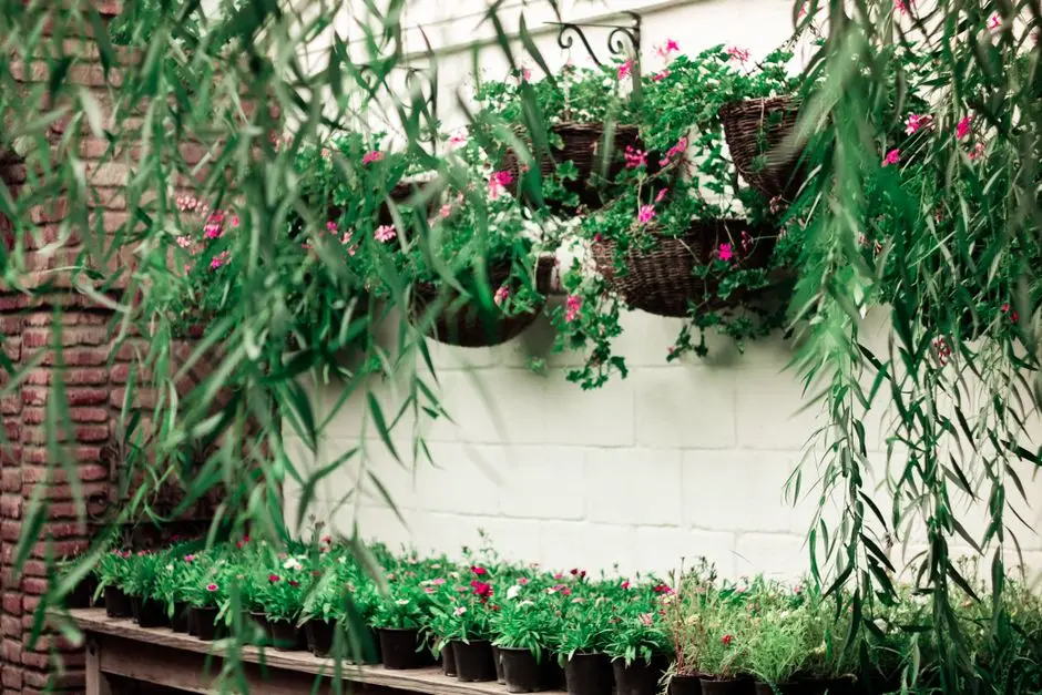Greens & Outdoors at BIRLA NAVYA AVIK, Sector 63A, Gurgaon