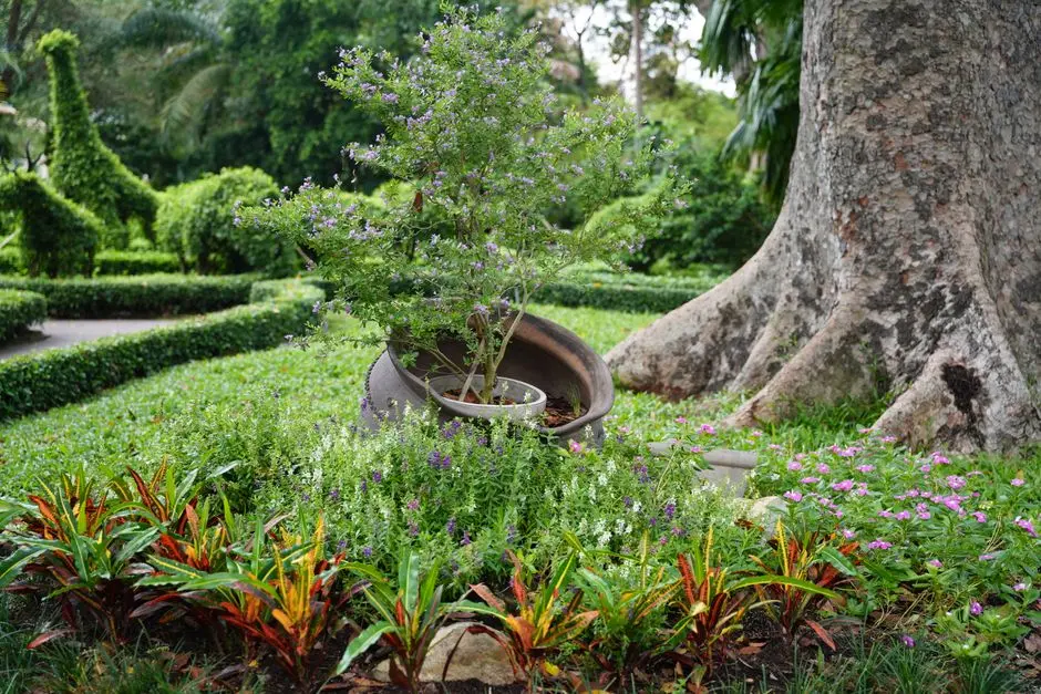 Greens & Outdoors at BIRLA KHAR WEST, Mumbai