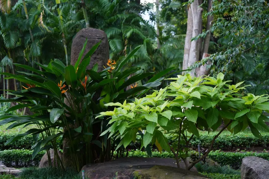 Greens & Outdoors at BIRLA ESTATES POKHRAN, Pokhran Road, Thane