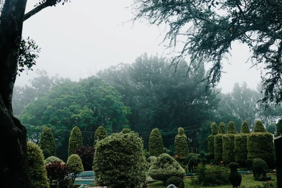 Greens & Outdoors at BIRLA ESTATES BELAPUR ROAD, Kalwa, Thane