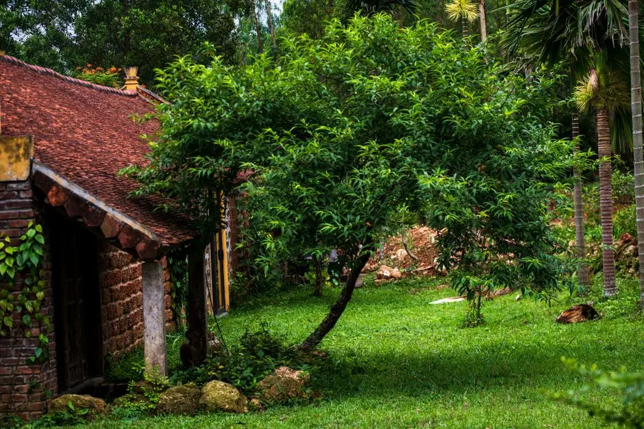 Greens & Outdoors at BIRLA ARNAA, Rajarajeshwari Nagar, Bangalore