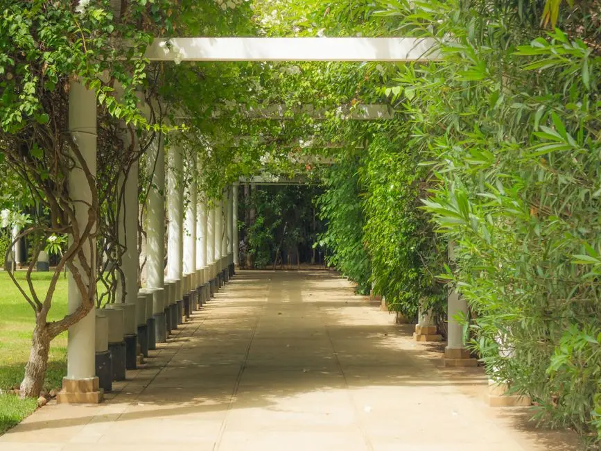 Greens & Outdoors at BIRLA ESTATES ROHINI, Delhi