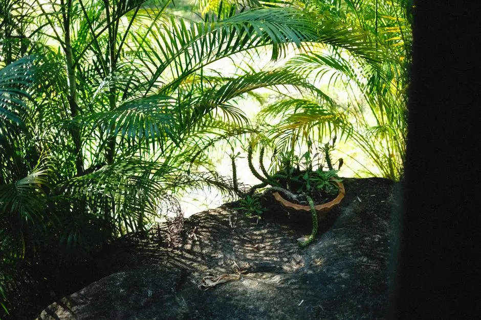 Greens & Outdoors at BIRLA NAVYA HINJAWADI, Pune