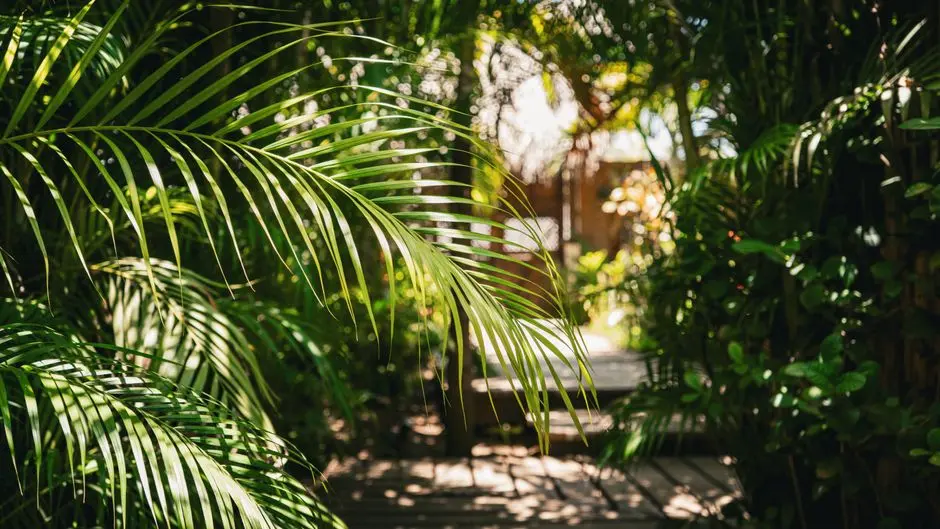 Greens & Outdoors at BIRLA ESTATES DIGHA GAON, Thane