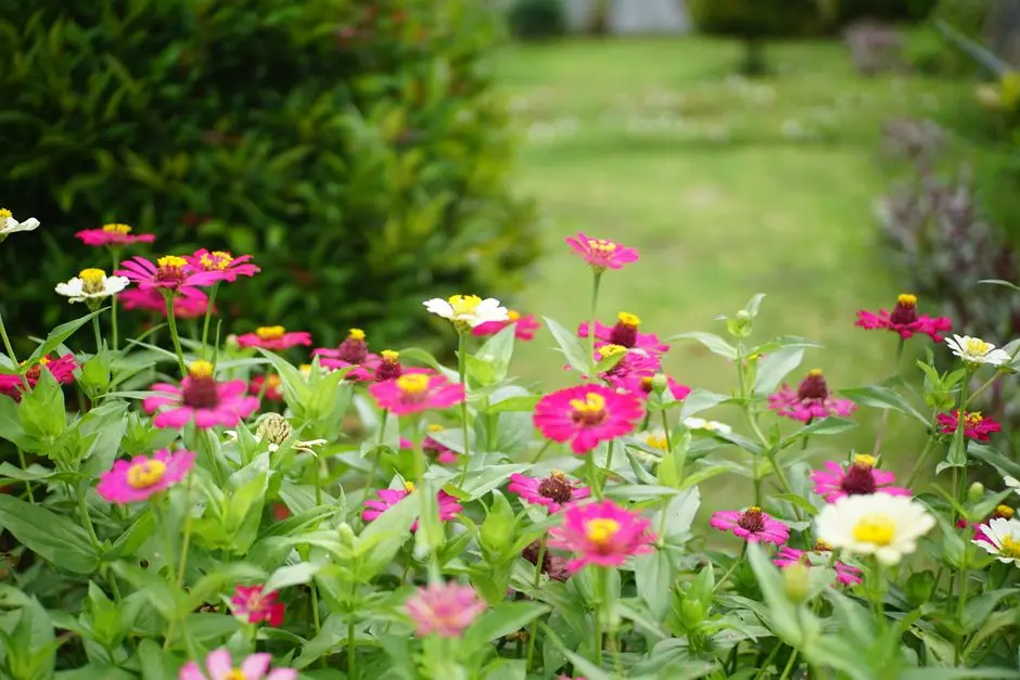 Greens & Outdoors at BIRLA ESTATES WELLESLEY ROAD, Sangamwadi, Pune