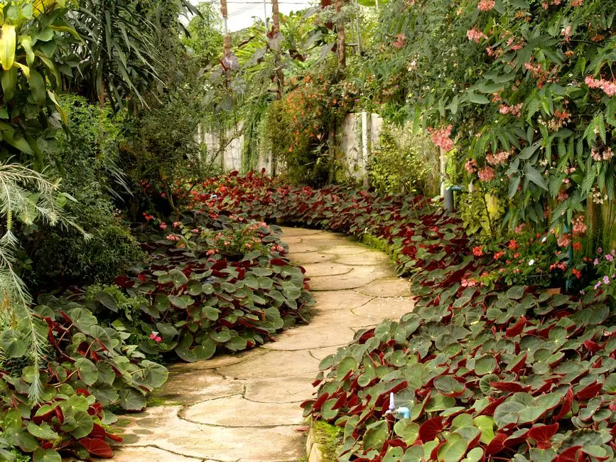 Greens & Outdoors at BIRLA COMMERCIAL SHETTIGERE DODDAJALA, Bangalore