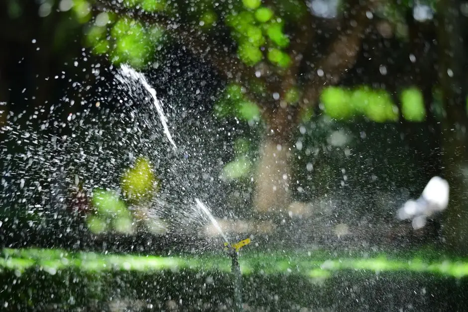 Greens & Outdoors at BIRLA RR NAGAR, Rajarajeshwari Nagar, Bangalore