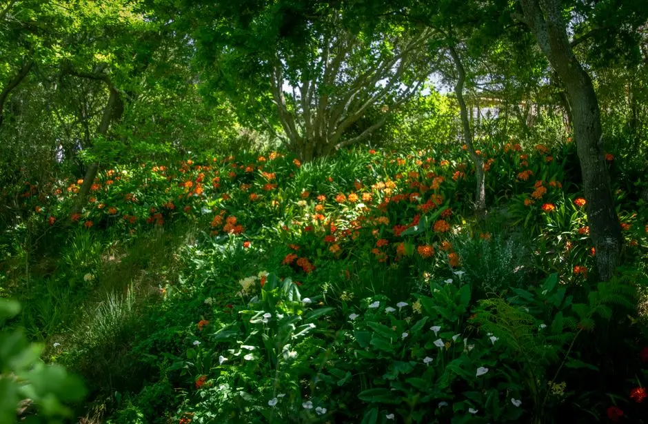 Greens & Outdoors at BIRLA SARJAPUR ROAD, Kodathi, Bangalore