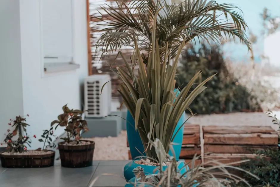 Greens & Outdoors at BIRLA NOIDA, Central Noida, Noida